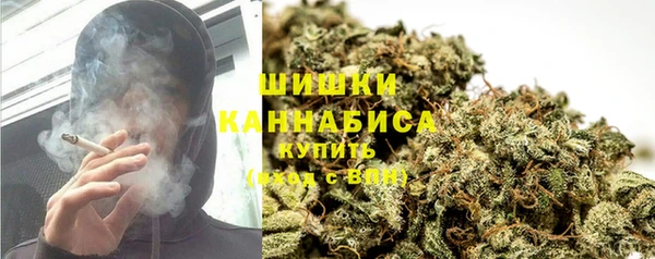 гидра Осташков