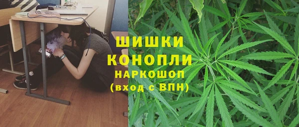 эйфоретик Алзамай