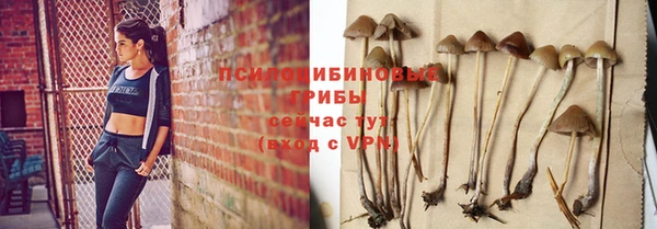 эйфоретик Алзамай