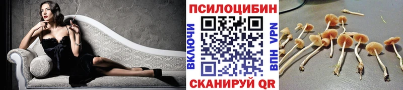 Псилоцибиновые грибы GOLDEN TEACHER Саров